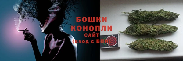 трава Аркадак
