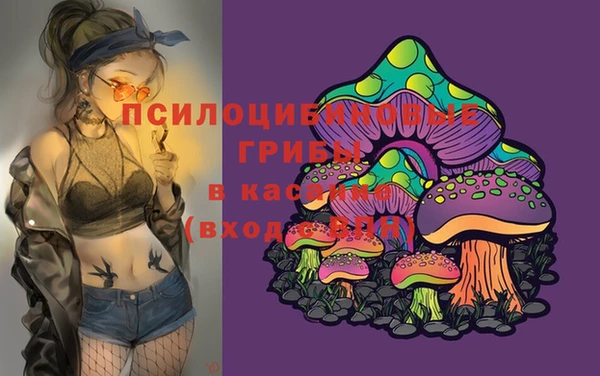 трава Аркадак