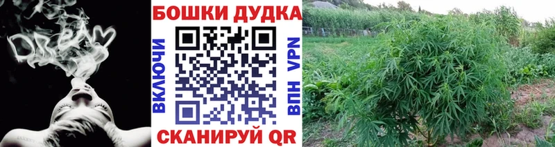 сколько стоит Пустошка omg ONION Каннабис THC 21%